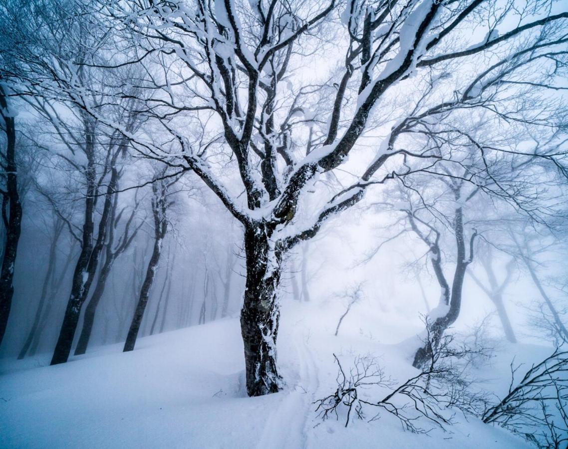 The Joint Bed & Breakfast Hakuba Exterior photo